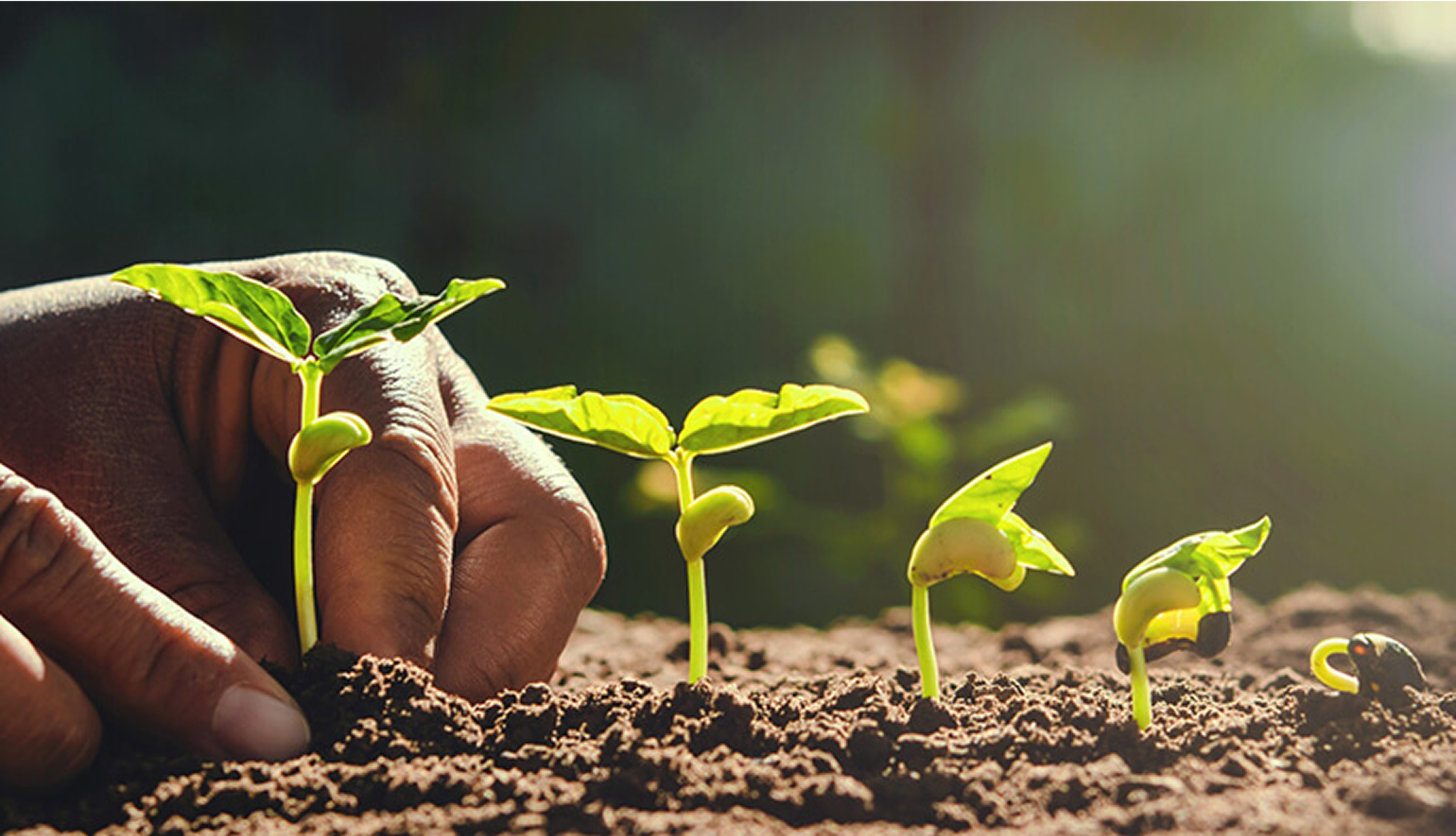 Serada çalışanlar