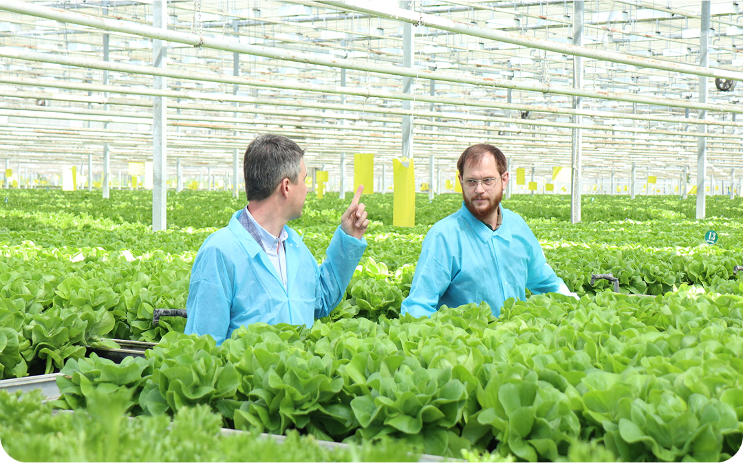 Serada çalışanlar